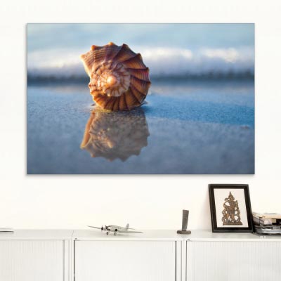 Akustikbild Muschel am Strand