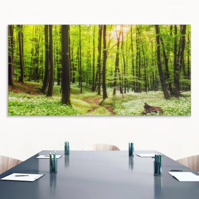 Akustikbild Wald, einseitig, Wandmontage